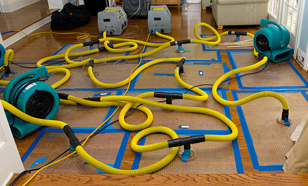 Professional Flood Damage Restoration technician working in Alvord, TX